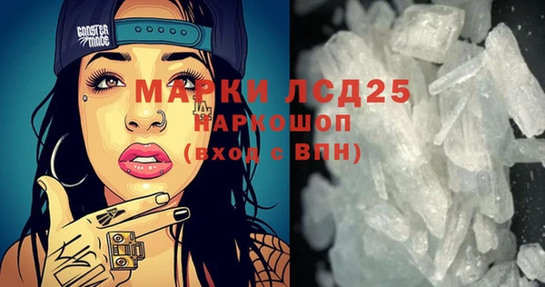 прущие грибы Алзамай