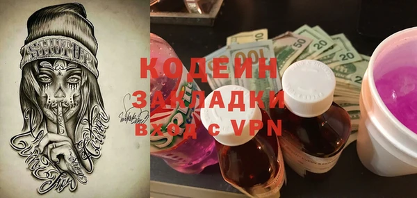 прущие грибы Алзамай