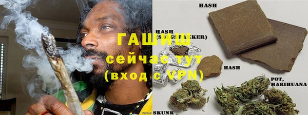 прущие грибы Алзамай
