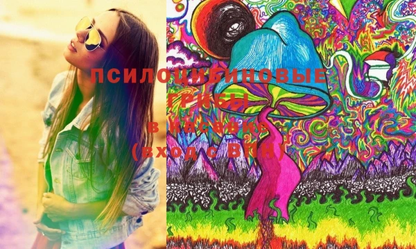 прущие грибы Алексеевка