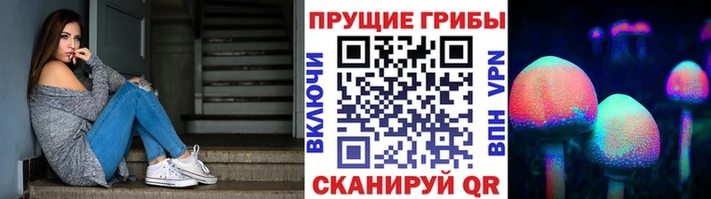hydra   Черногорск  Галлюциногенные грибы Cubensis 