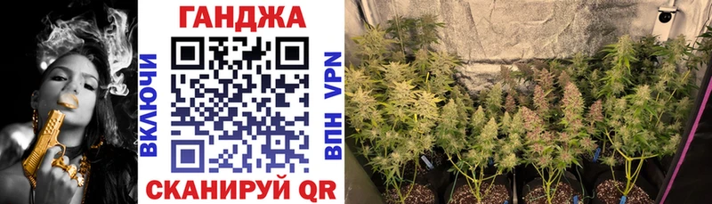 где купить наркоту  Черногорск  Бошки Шишки тримм 